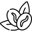 عربیکا